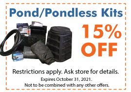 pond pondless kits pond company